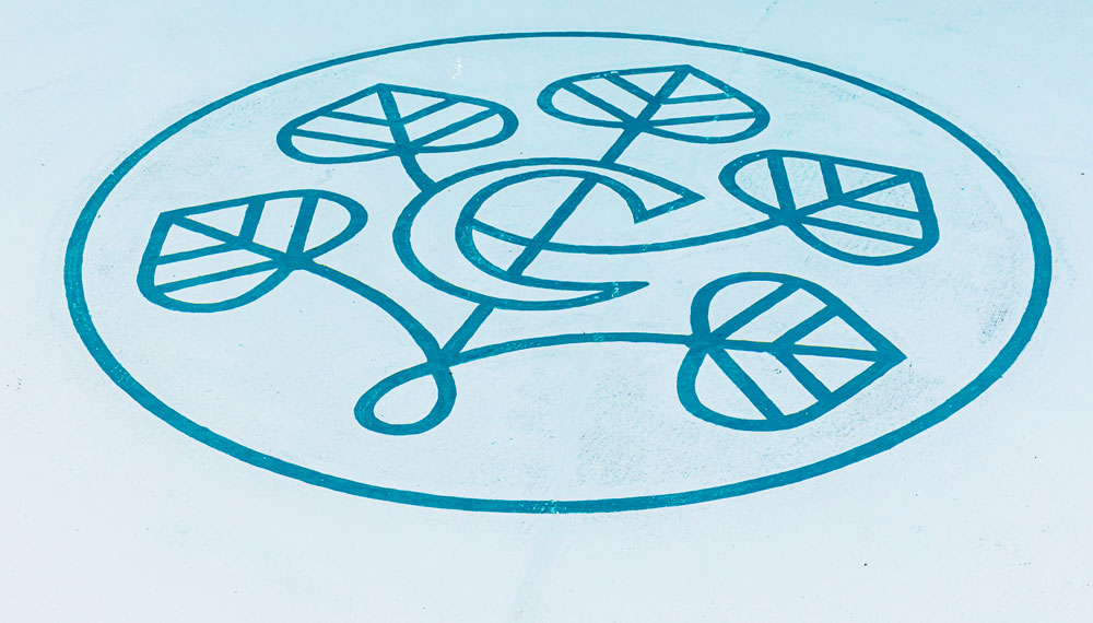 Cottonwood logo at the bottom of the pool