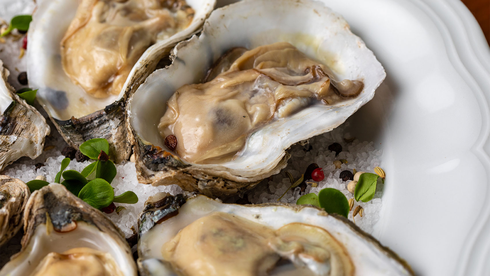 oysters on the halfshell