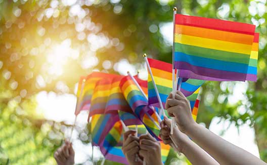 people holding pride flags