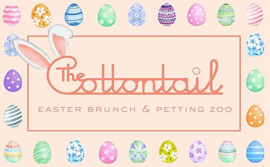 teacup, saucer, and spoon on a table